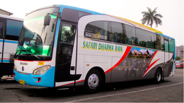 bus_safari_a